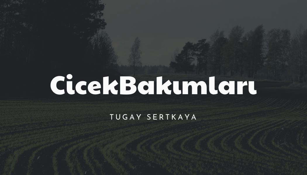 Yeşil Tarla Sahası Peyzaj Kartvizit - 1