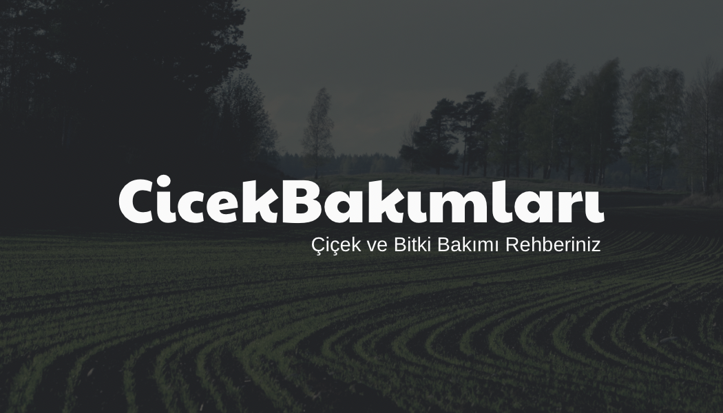 Yeşil Tarla Sahası Peyzaj Kartvizit