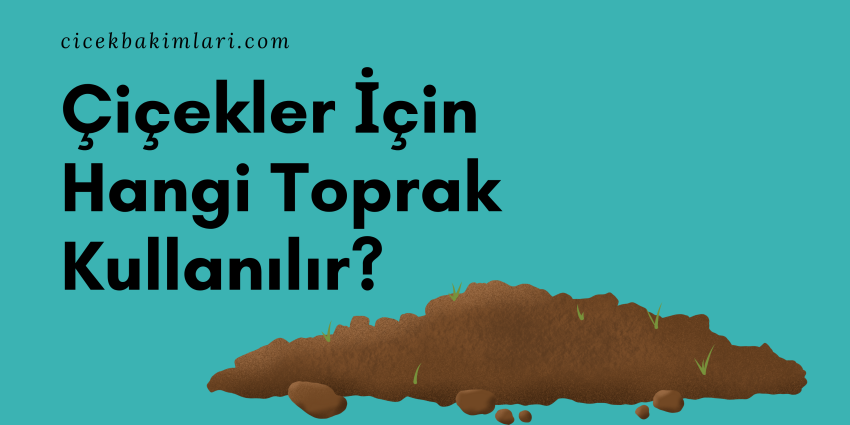 Çiçekler İçin Hangi Toprak Kullanılır?