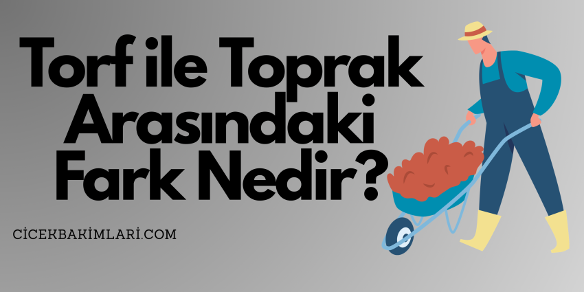 Torf ile Toprak Arasındaki Fark Nedir?