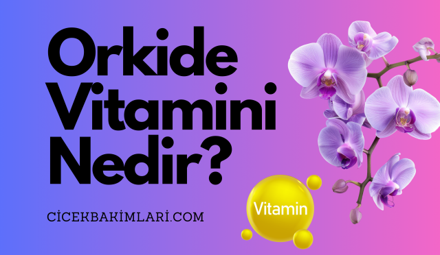 BİTKİLERİN TÜRKÇE İSİMLERİ