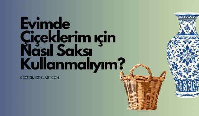 BİTKİLERİN TÜRKÇE İSİMLERİ