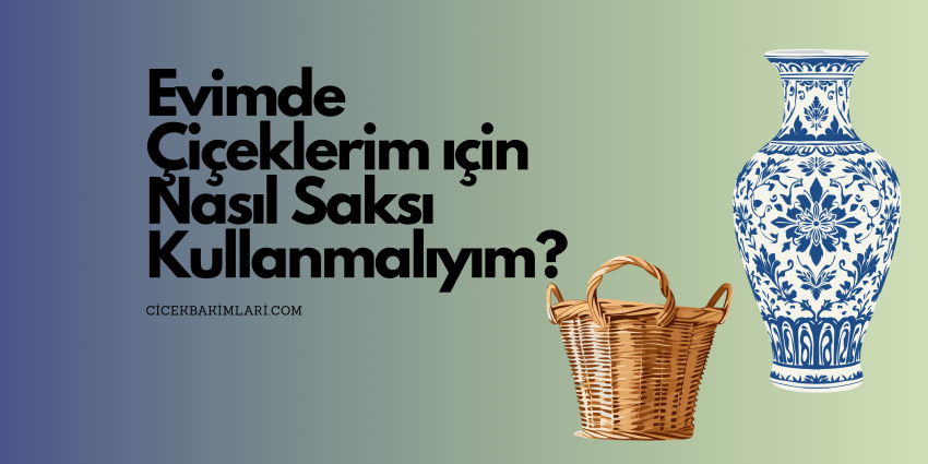 Evimde Çiçeklerim İçin Nasıl Saksı Kullanmalıyım?