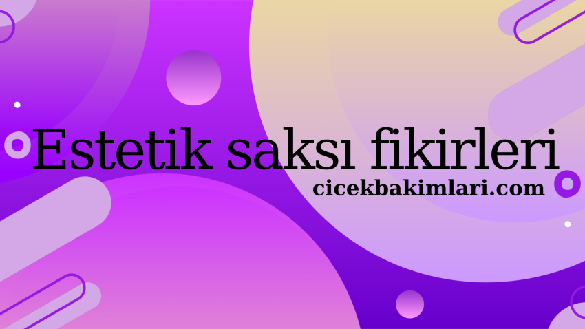 Estetik Saksı Fikirleri