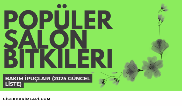 Popüler Salon Bitkileri ve Bakım İpuçları (2025 Güncel Liste)