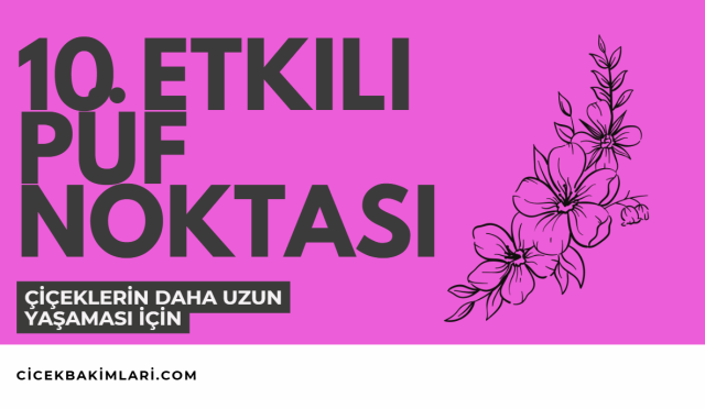 Çiçeklerin Daha Uzun Yaşaması İçin 10 Etkili Püf Noktası