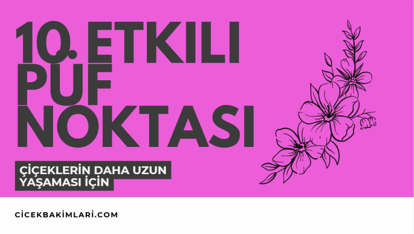 Çiçeklerin Daha Uzun Yaşaması İçin 10 Etkili Püf Noktası