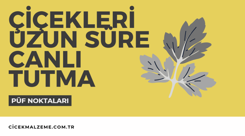 Çiçekleri Daha Uzun Süre Canlı Tutmanın Püf Noktaları